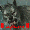 ll_zalim_ll's Avatar